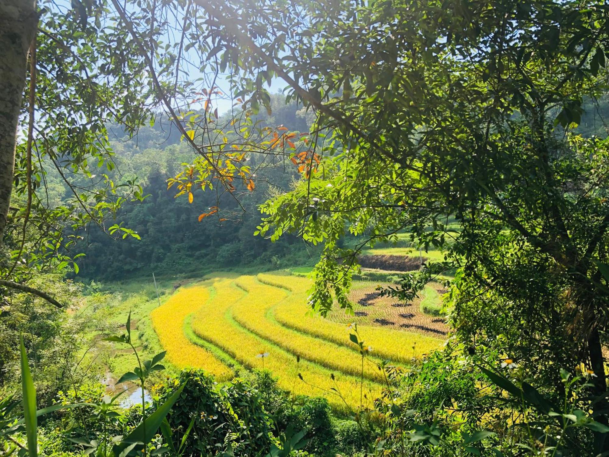 Duong Cong Chich Homestay Lang Son Exterior foto